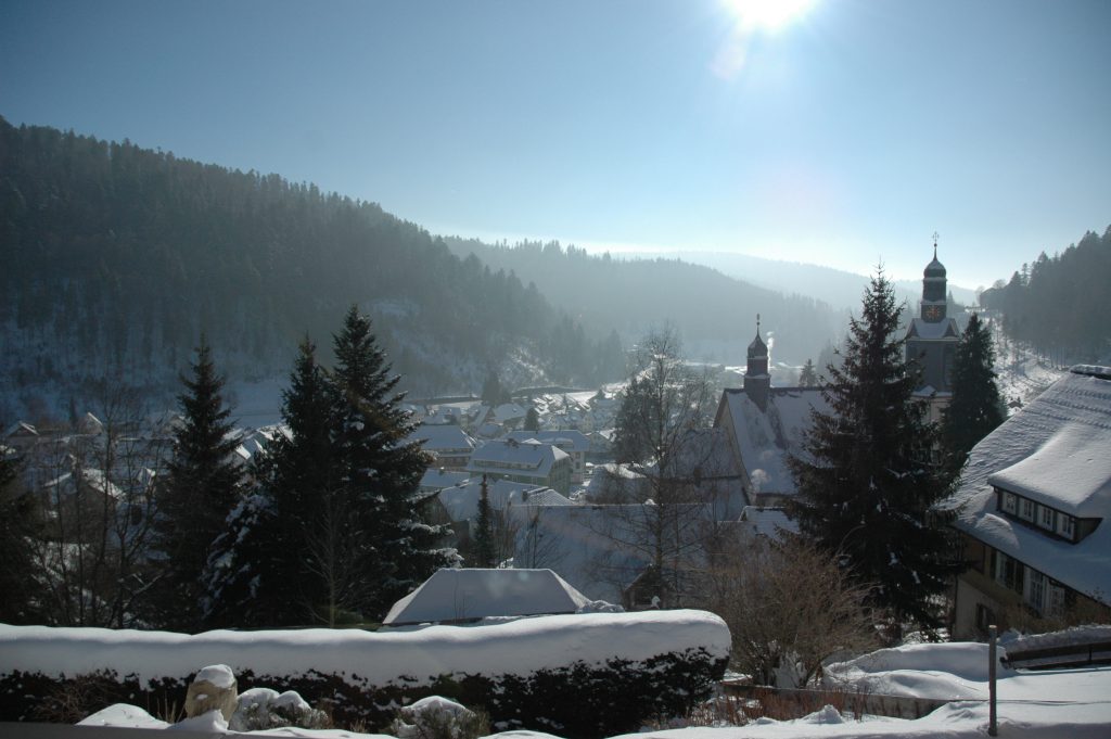 Blick aus einer der Ferienwohnungen